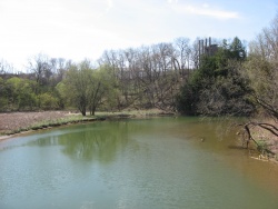 Raccoon Creek in Potter Township, near its mouth