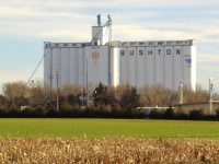 Bushton Grain Elevators.jpg