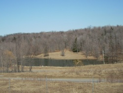 A pond near the summit of Bloss Mountain in Liberty Township